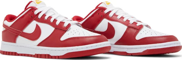 Nike Dunk Low USC 